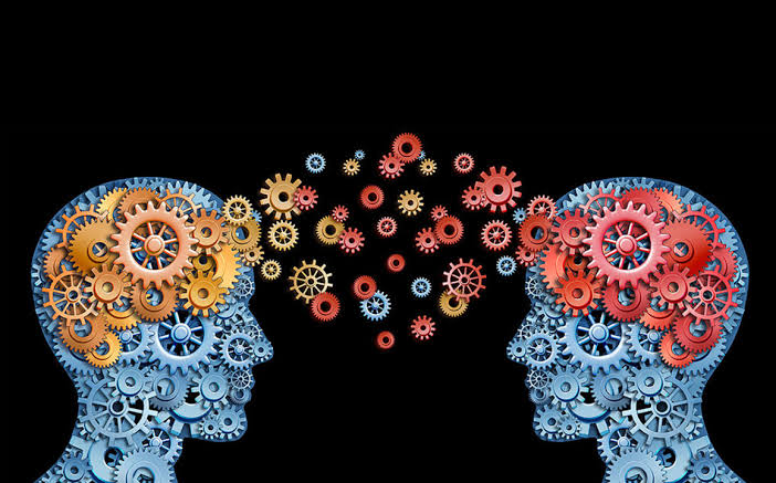 Two connected minds exchanging interlocking ideas, representing organizational understanding